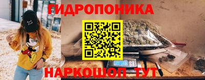 шишки Нальчик